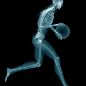 Basketball players skeletal structure, illustration Basketball players skeletal structure, illustration