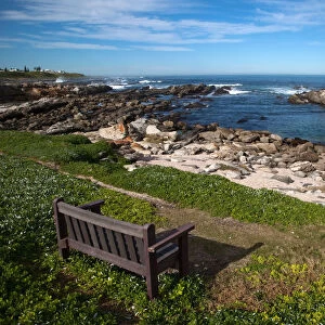 bay, bench, cliff, color image, colour image, day, daytime, eastern cape, horizon over land