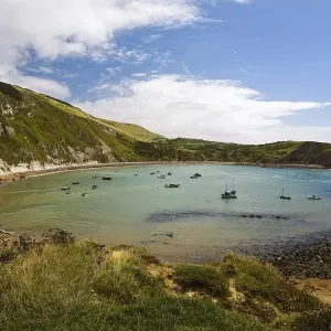 Lulworth Cove Grassy Inlet Print Lulworth Cove Grassy Inlet Print