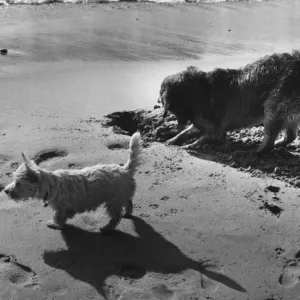 On The Beach On The Beach