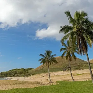 Anakena Beach Print, Easter Island Moai Landscape Anakena Beach Print, Easter Island Moai Landscape