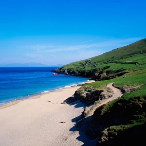 Beach, Blasket Islands, Dingle Peninsula, Co Kerry, Ireland