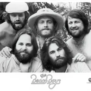 The Beach Boys