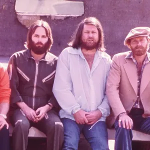 Beach Boys Portrait Beach Boys Portrait