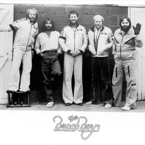 Beach Boys Portrait Beach Boys Portrait