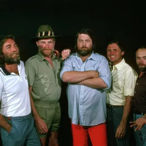 Beach Boys Portrait Beach Boys Portrait