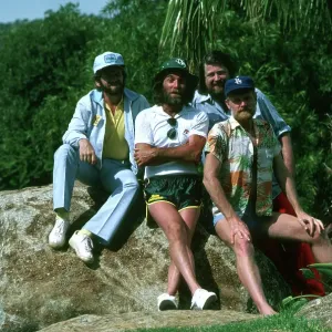 Beach Boys Portrait In A Tropical Locale Beach Boys Portrait In A Tropical Locale