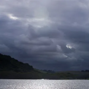 Images Dated 2011 November: 5 Nov 2011