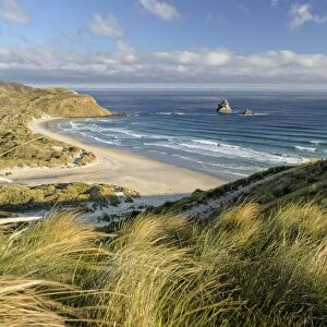 Beach, Sandfly Bay, Otago Peninsula, South Island, New Zealand, Oceania