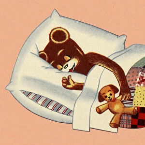 Bear Sleeping in Bed