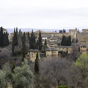 The beautiful Alhambra