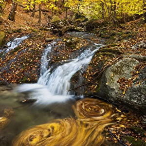 Beautiful waterfall in forest, autumn landscape