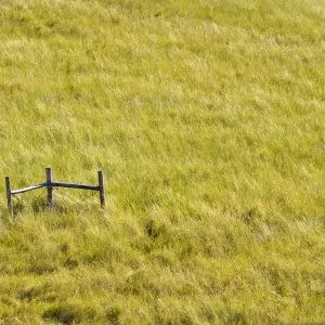 beauty in nature, color image, colour image, copy space, copy space, day, eastern cape