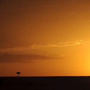 beauty in nature, copy space, horizon over land, horizontal, kenya, landscape, loneliness