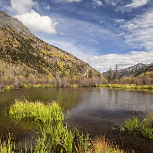 Beaver pond in mountain landscape, San Juan Mountains, Colorado, USA
