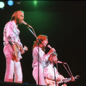 The Bee Gees The Bee Gees
