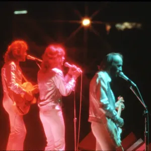 The Bee Gees The Bee Gees