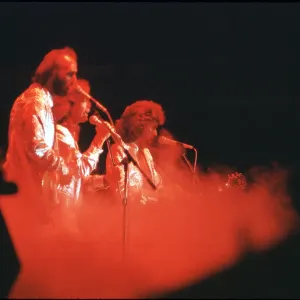 The Bee Gees The Bee Gees