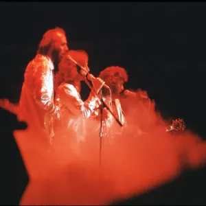The Bee Gees The Bee Gees