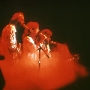 The Bee Gees The Bee Gees