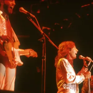 The Bee Gees The Bee Gees
