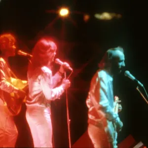 The Bee Gees The Bee Gees