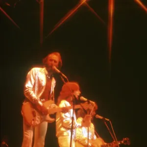 The Bee Gees The Bee Gees