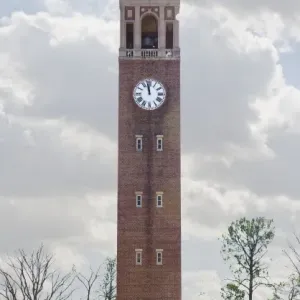 Bell Tower Print at UNC Chapel Hill Bell Tower Print at UNC Chapel Hill