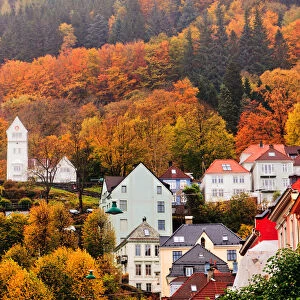 Bergen Autumn