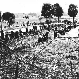 Berlin Barbed Wire Wall Berlin Barbed Wire Wall