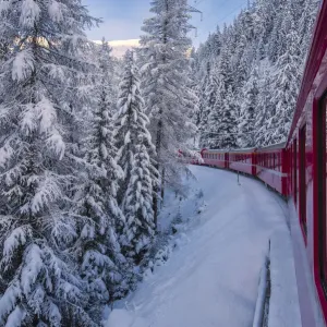 Bernina Express Print: Snowy Woods Scene in Filisur, Grisons, Switzerland Bernina Express Print: Snowy Woods Scene in Filisur, Grisons, Switzerland