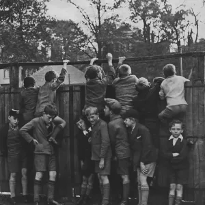 Better View Print: Boys climbing on each other's backs over a wall Better View Print: Boys climbing on each other's backs over a wall