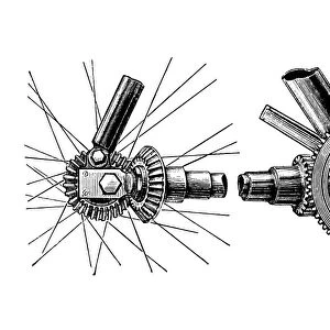Bevel gear translation for chainless bicycle