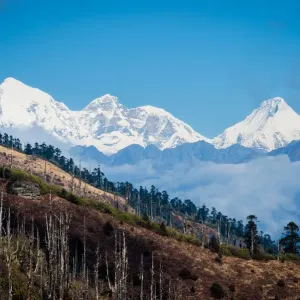 Chele La Pass Print: Mt Jhomolhari View