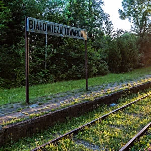 Bialowieza Forest - Historical Train Station