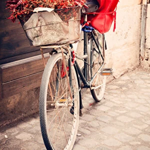 Bicycle with chili baskets, vintage look