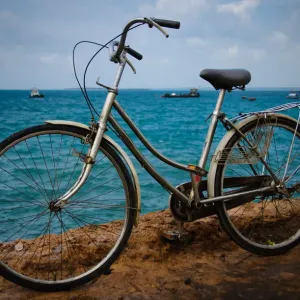 Bicycle Near the Waters Edge Bicycle Near the Waters Edge