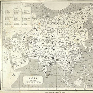 Big Game hunting Antquie map of Asia, showing locations of animals, Victorian 1860s, 19th Century