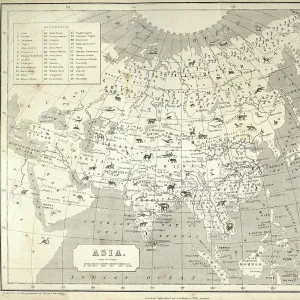 Big Game hunting Antquie map of Asia, showing locations of animals, Victorian 1860s, 19th Century