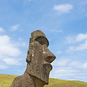 Big moai portrait in a sunny day w / blue sky