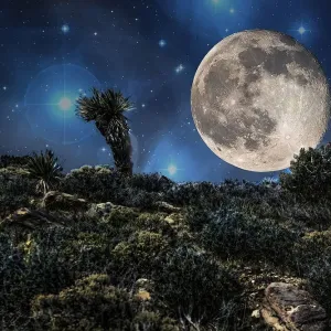 Joshua Tree Desert Fantasy Moon Print Joshua Tree Desert Fantasy Moon Print