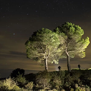 Two big trees in the night with persons silhouettes together with them, illuminated by the moonlight
