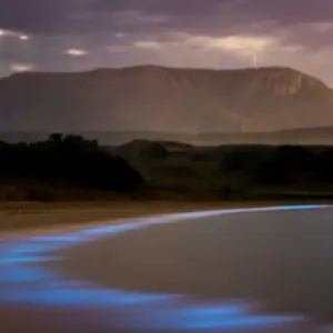 Bioluminescence Print - Glowing Waves at Tasmanian Coast Bioluminescence Print - Glowing Waves at Tasmanian Coast
