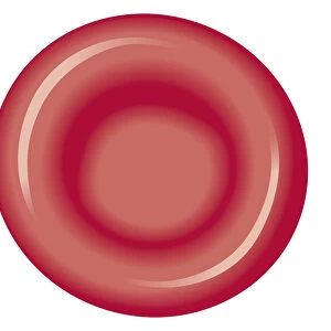 Biomedical illustration of red blood cell