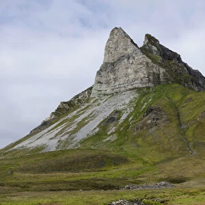 Bird rock of Alkhornet, Trygghamna, Isfjorden, Spitsbergen Island, Svalbard Archipelago, Svalbard and Jan Mayen, Norway
