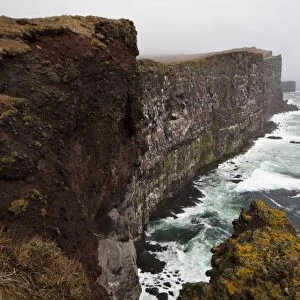Bird rock, Latrabjarg Peninsula, West Fjords, Iceland, Europe