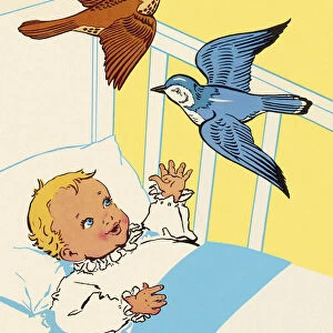 Birds Flying Over Babys Crib