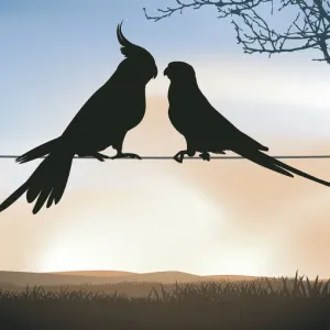 Birds on Wire, 455421701 Birds on Wire, 455421701