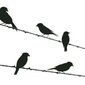 Birds on Wire, 457819851 Birds on Wire, 457819851