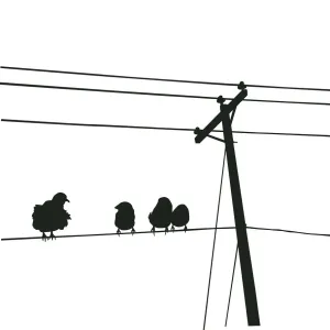 Birds on Wire, 481567472 Birds on Wire, 481567472